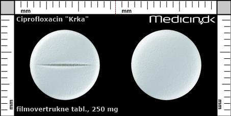 filmovertrukne tabletter 250 mg 